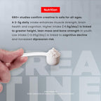 BigMuscles Nutrition Creatine Monohydrate Powder (100g, 33 Servings) | Strength & Performance Booster | GP Fitness